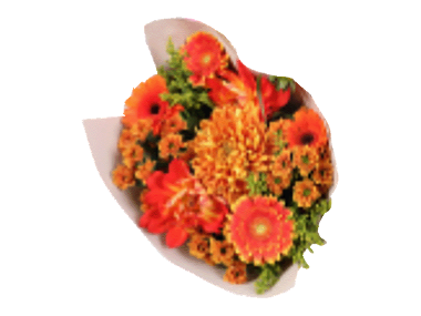 Buchet mixt cu Hortensie
