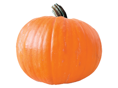 Matriket Dovleac Halloween