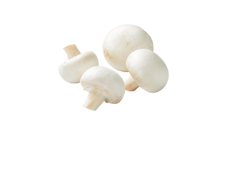 Patru ciuperci champignon albe proaspete pe fundal negru.