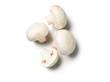 Ciuperci grill Champignon albe