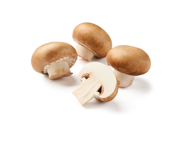 Ciuperci Champignon brune