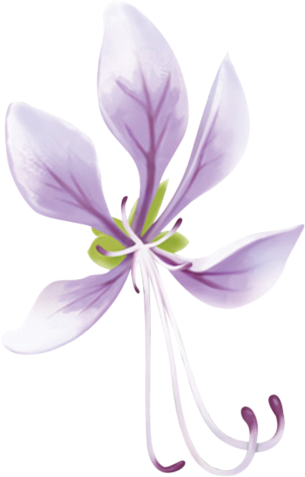 Floare violetă cu detalii verzi.