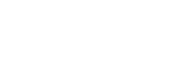 TEHNOLOGIE LITIU-ION: Fără efect de memorie, auto-descărcare redusă, putere constantă.