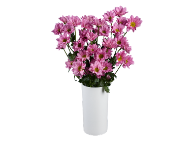 Buchet de crizanteme