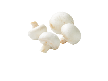 Ciuperci Champignon albe