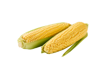 Porumb de fiert