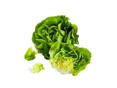 Salată verde