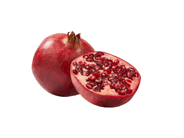 Rodii