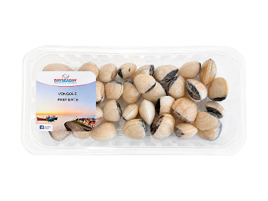 Vongole