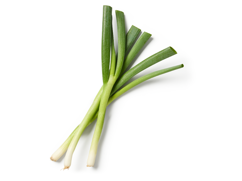 Un buchet de ceapă verde proaspătă cu tulpini verzi și rădăcini albe pe fundal alb.