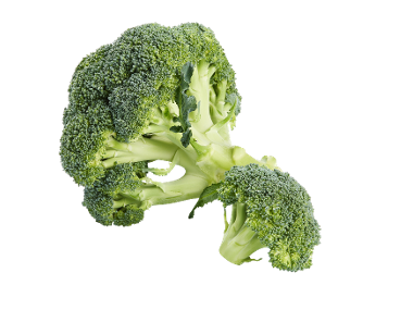 Broccoli