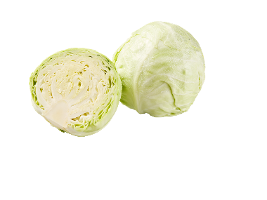 Varză albă