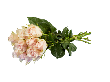 Buchet trandafiri maxi
