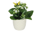 Plantă de kalanchoe albă într-un ghiveci ceramic cu un fluture decorativ galben.