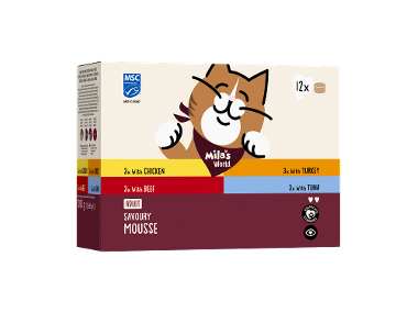 Hrană umedă, mousse pentru pisici