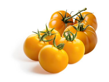 Tomate portocalii / galbene