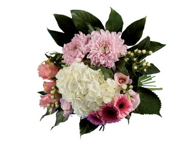 Buchet mixt cu Hortensie
