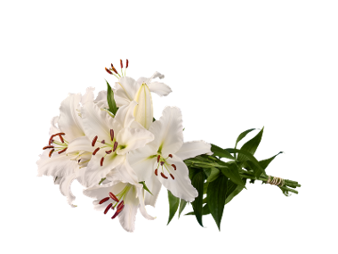 Buchet crini