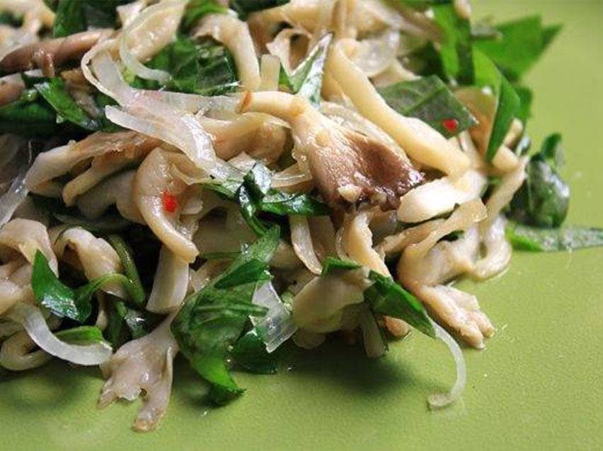 Salata de ciuperci Pleurotus