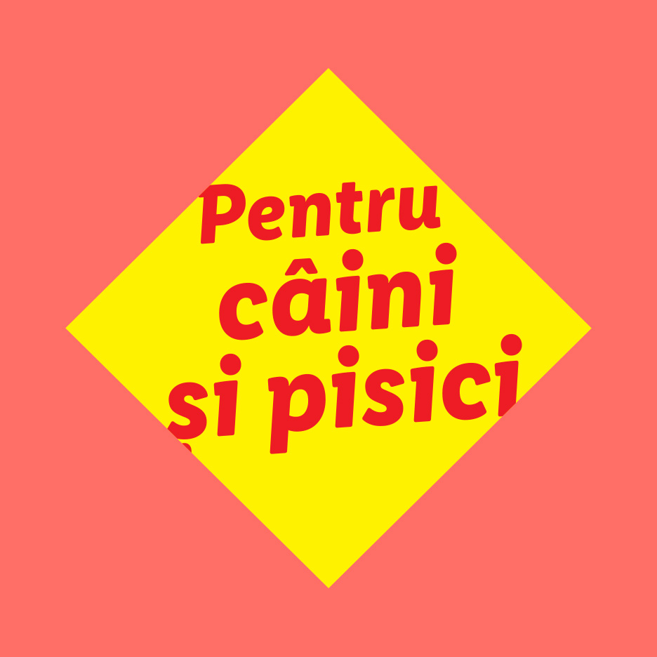 Textul 'Pentru câini și pisici' pe un fundal galben și roșu.