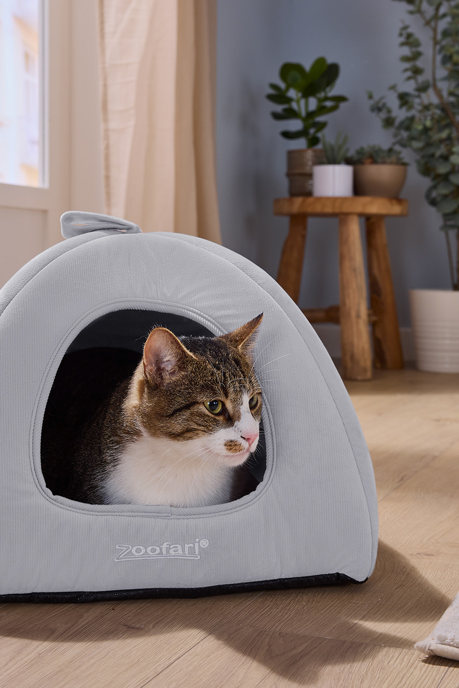 O pisică stă într-un culcuș gri, în formă de iglu, pe o podea din lemn.