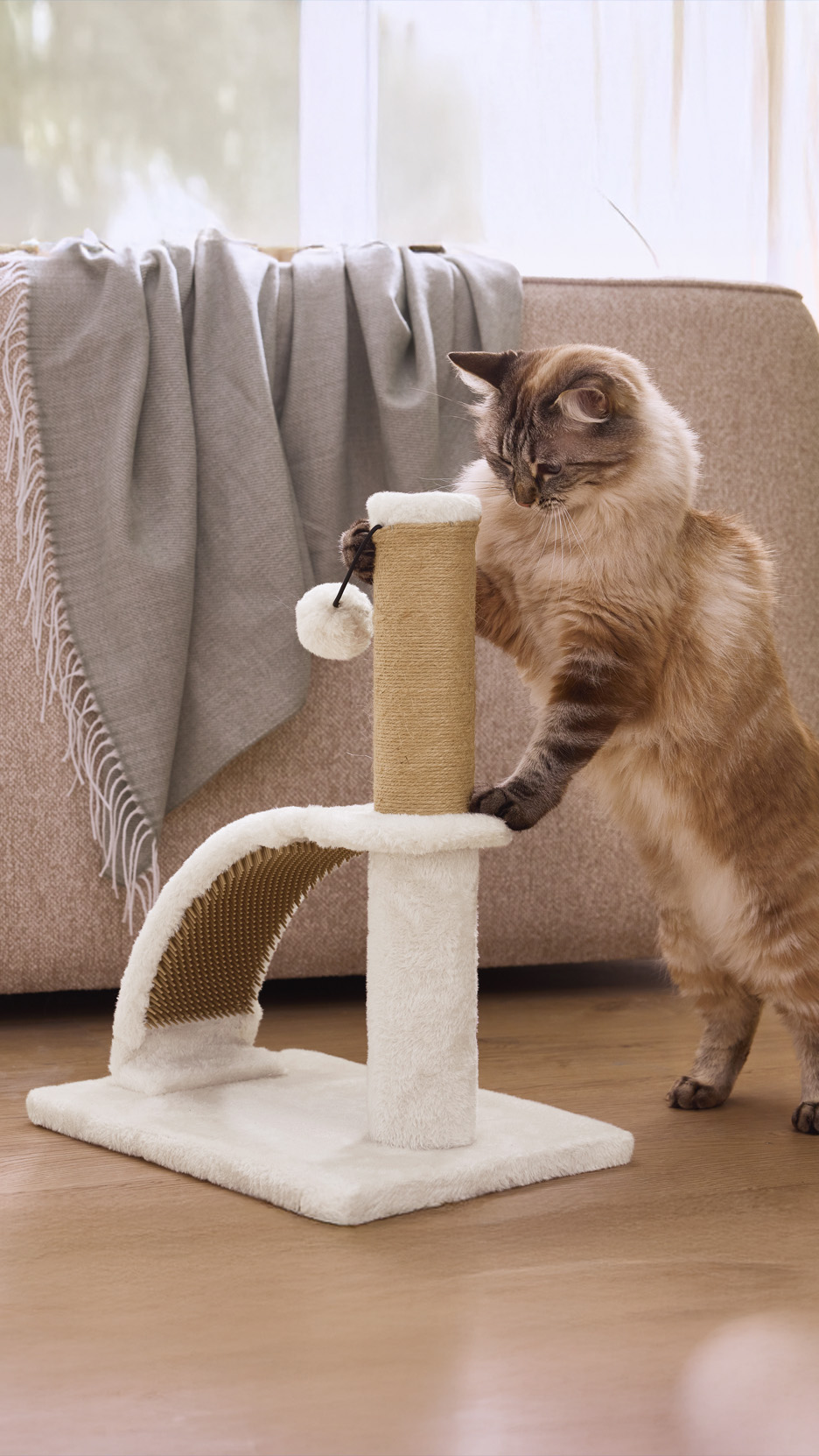 O pisică se joacă cu un stâlp de zgâriat cu o minge agățată, lângă o canapea.