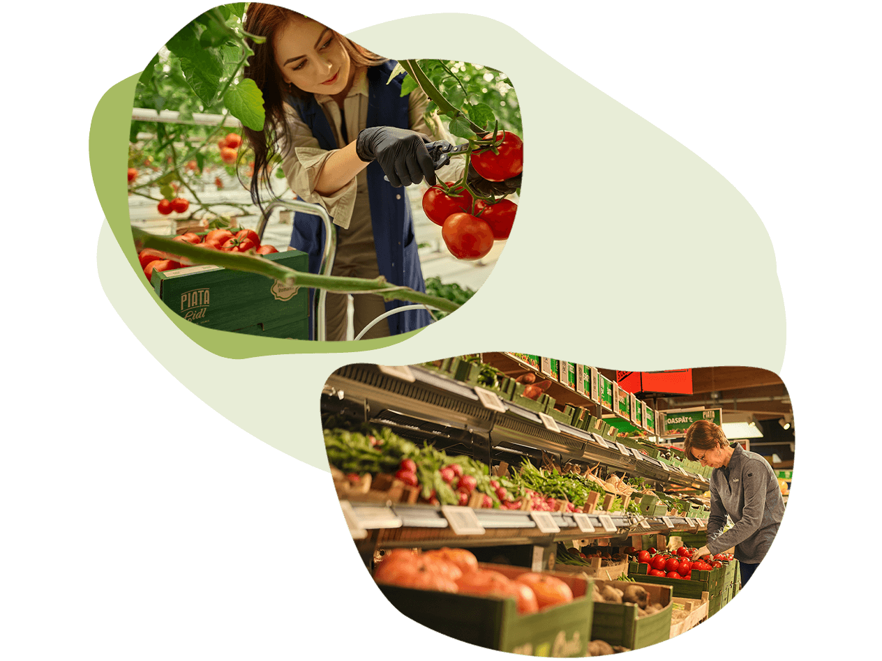 +43% mai mulți producători locali de fructe și legume*