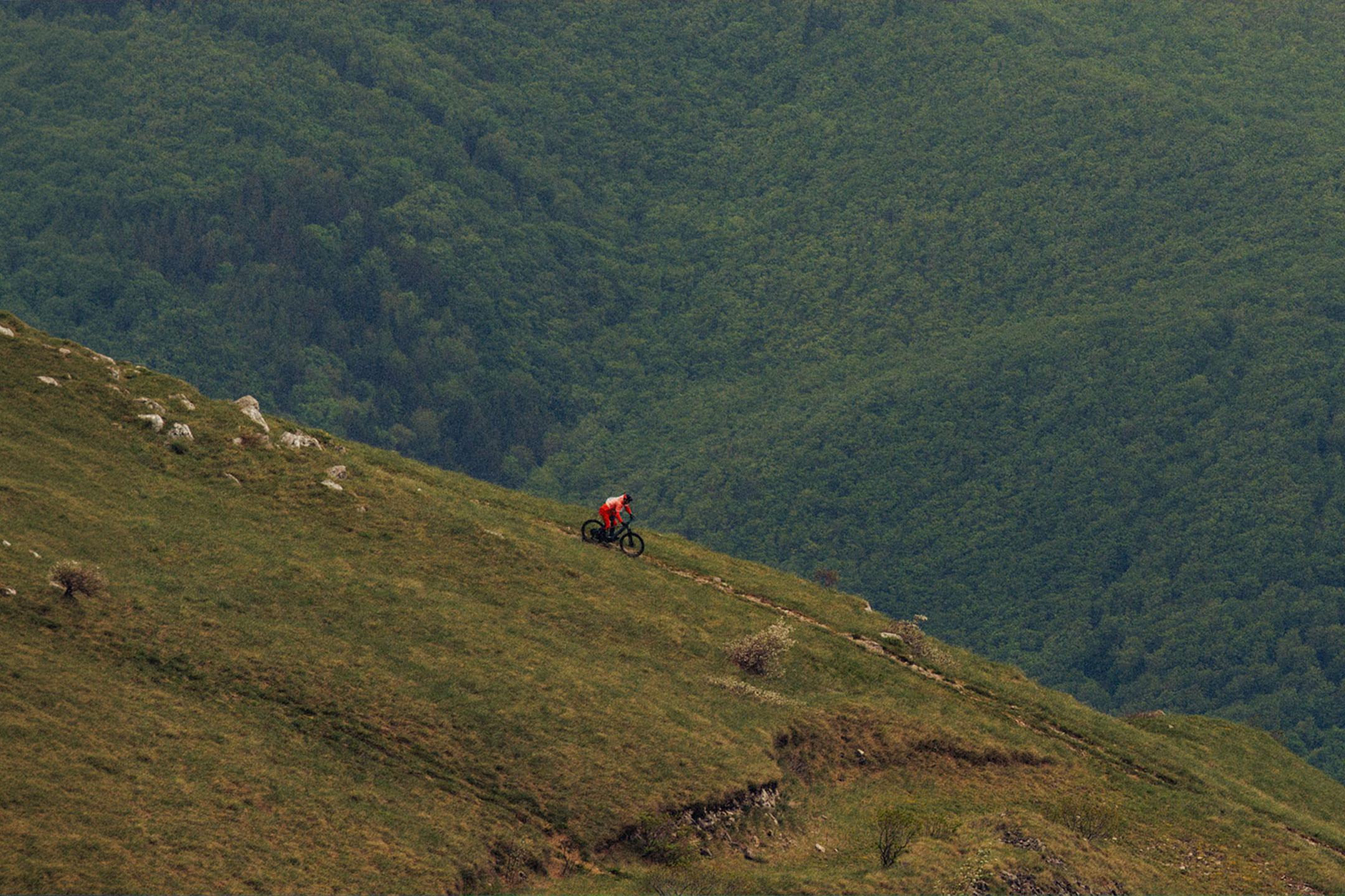 Generat de AI: Ciclist coborând pe o potecă de munte cu o pădure densă în fundal.