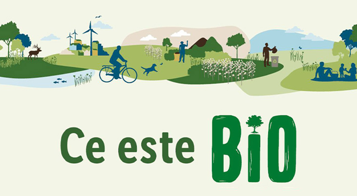 Ilustrație: ciclism, picnic și stil de viață bio.