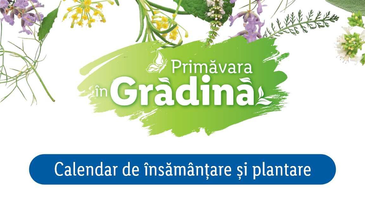 Primavara in Gradina: calendar de însămânțare și plantare plante aromatice.