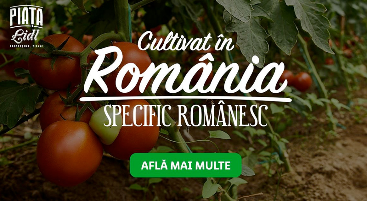 Roșii Lidl, cultivate în România.