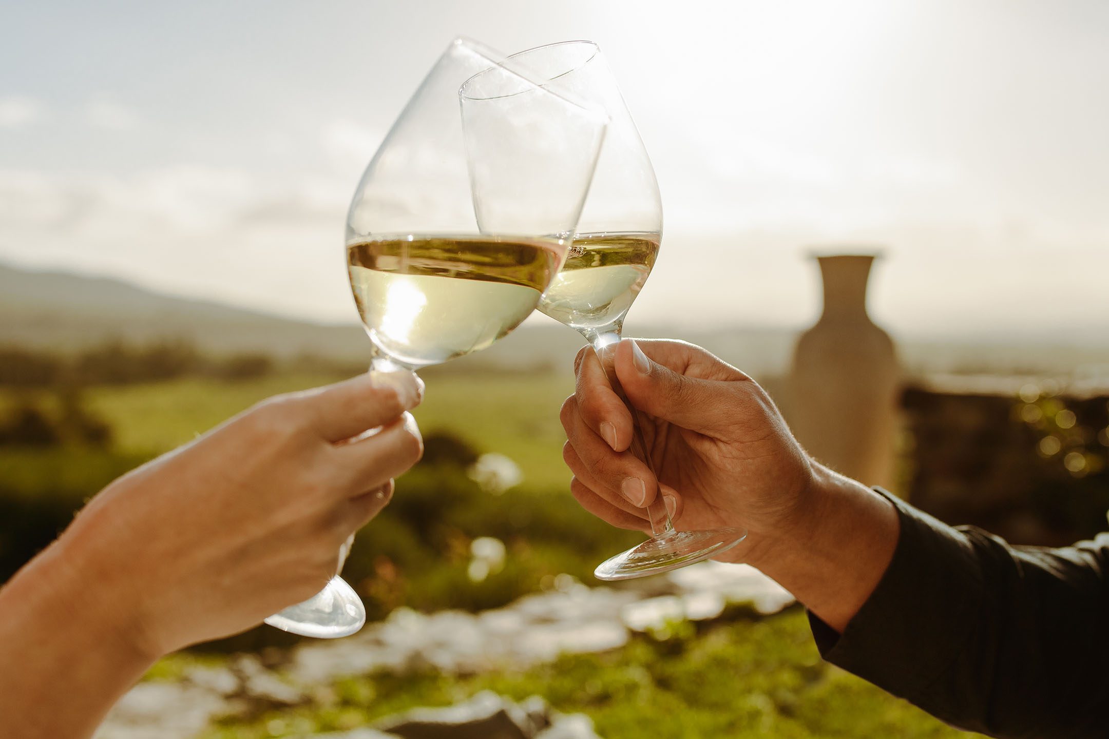 Două mâini ciocnesc pahare de vin alb într-un cadru rural însorit.