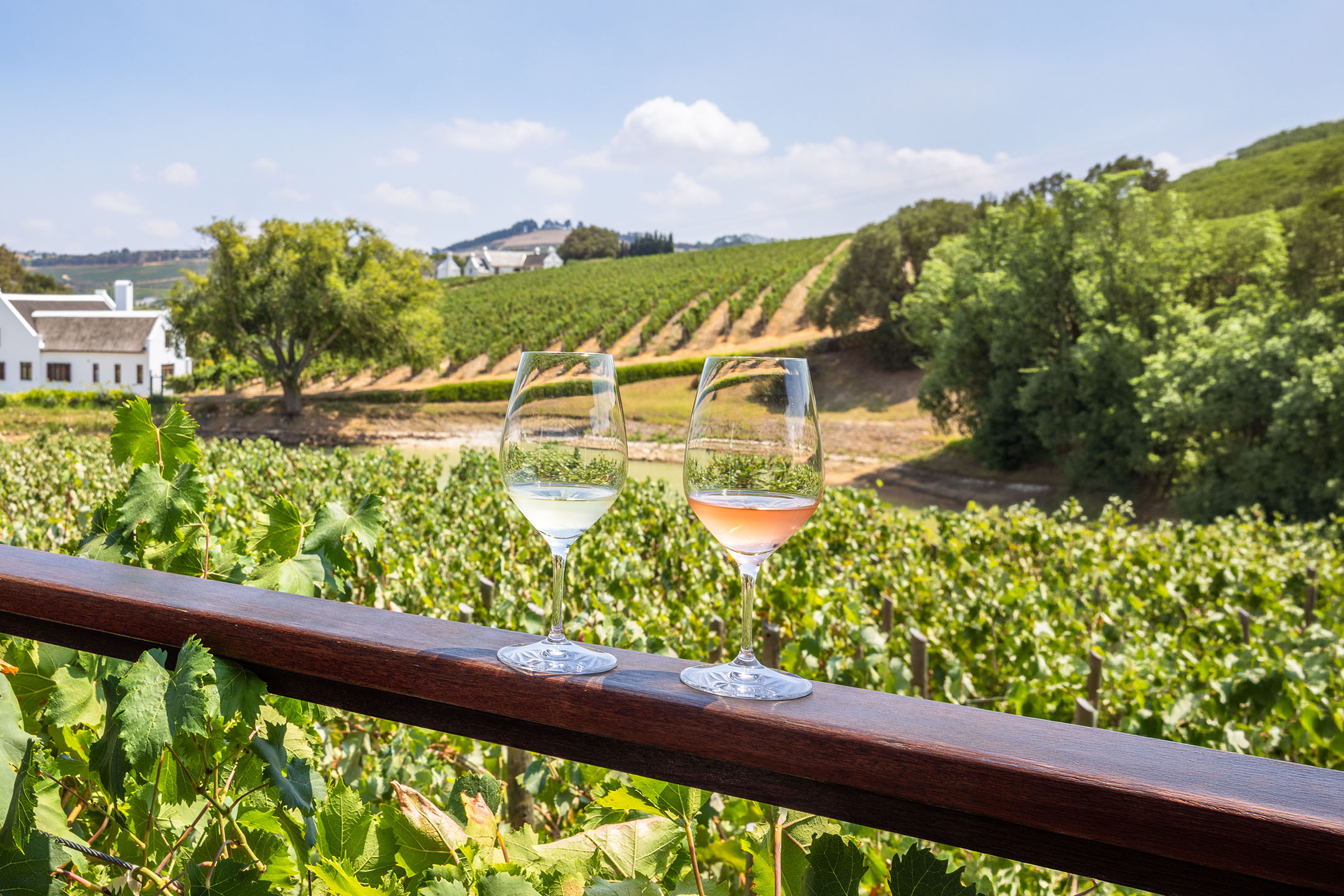 Două pahare de vin, alb și rosé, pe o balustradă de lemn cu o podgorie în fundal.