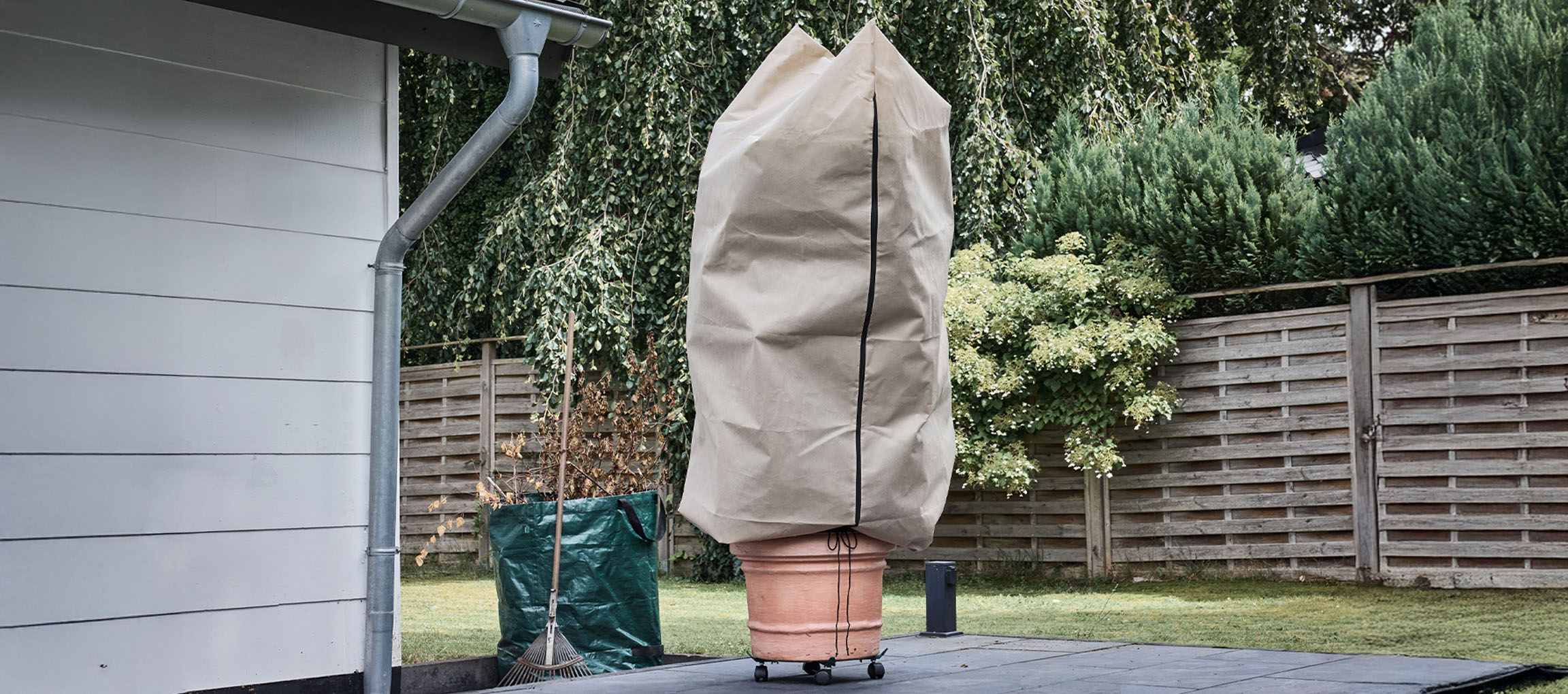 Plantă în ghiveci cu husă de protecție de iarnă pe o terasă lângă o casă.