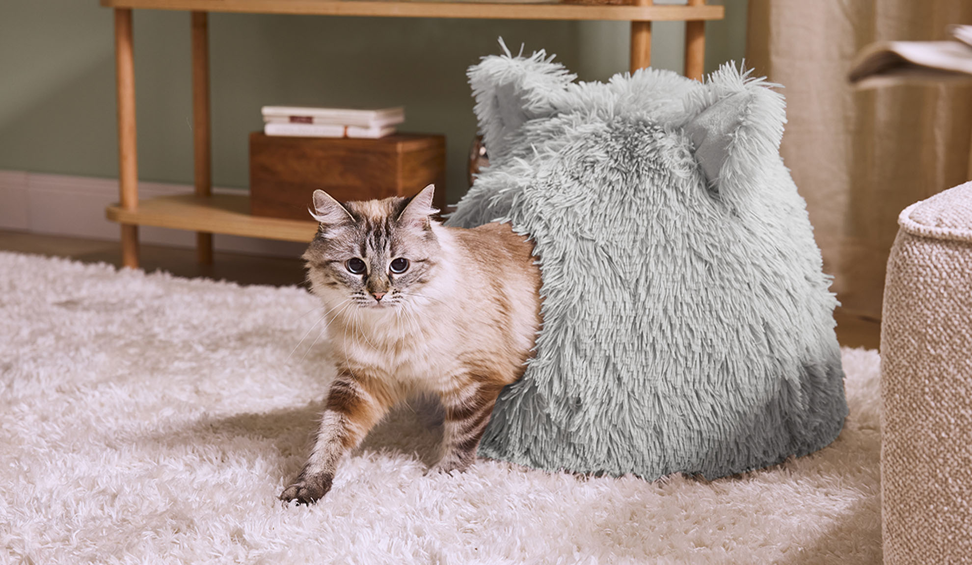 O pisică iese dintr-un culcuș pufos gri pe un covor alb.