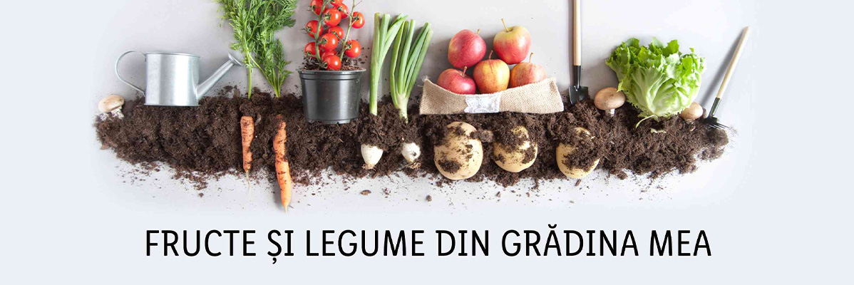 Cartofi, mere, morcovi și salată din grădină.