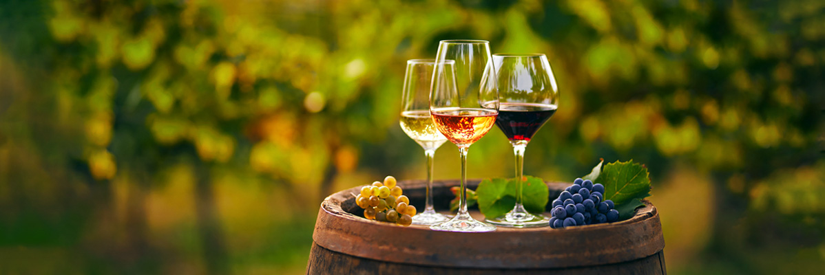 Vin roșu, rosé și alb într-o cramă.