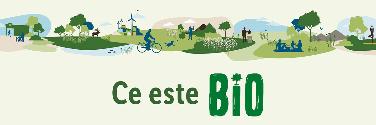 Ciclism, picnic și yoga într-un mediu ecologic.