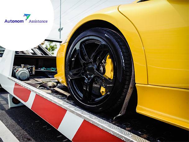 Autonom Assistance
