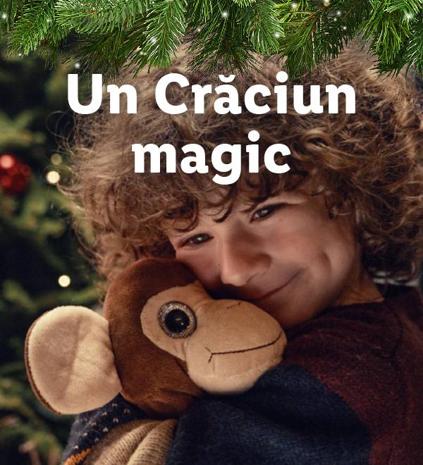 Descoperă catalogul!
