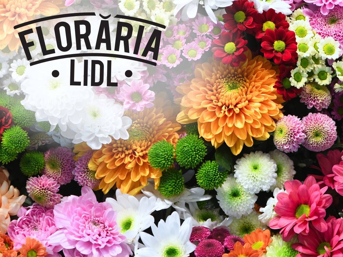 Florăria Lidl