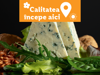 Două felii de brânză cu mucegai nobil, alături de nuci și salată verde.
