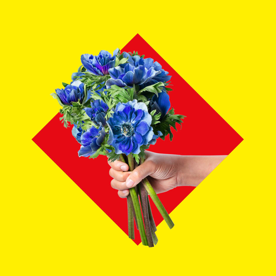 Un buchet de flori albastre, anemonă, ținut într-o mână, pe un fundal roșu și galben.